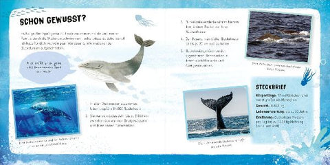 9783551255211 - Sample content