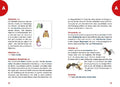 9783551255228 - Sample content