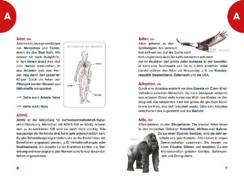 9783551255228 - Sample content