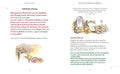 9783551281586 - Sample content