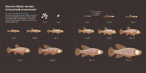 9783551523037 - Sample content