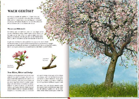 9783649637752 - Sample content