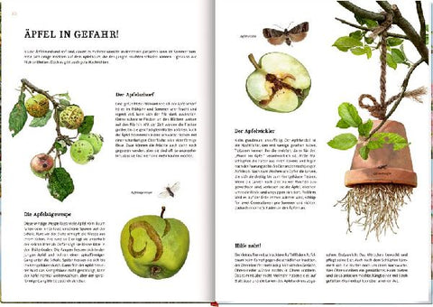 9783649637752 - Sample content