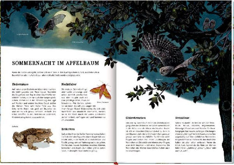 9783649637752 - Sample content