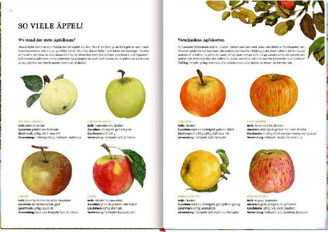 9783649637752 - Sample content