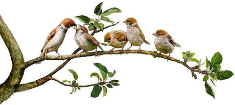 9783649637752 - Sample content