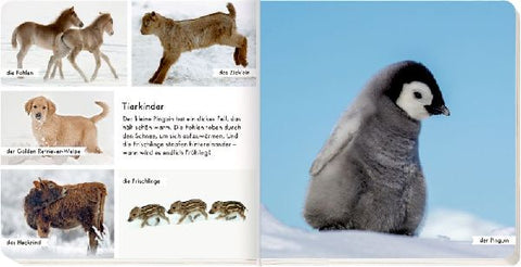 9783649639190 - Sample content