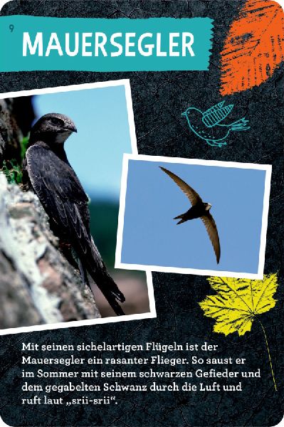 9783649640233 - Sample content