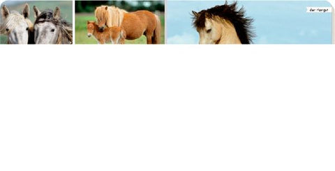 9783649640684 - Sample content