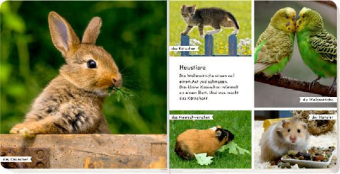 9783649640684 - Sample content