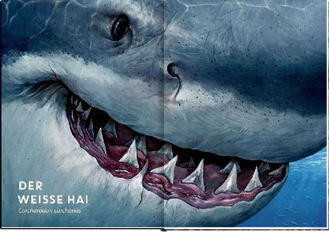 9783649640936 - Sample content