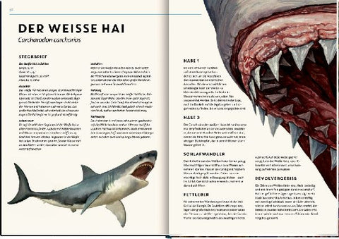 9783649640936 - Sample content