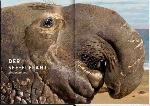 9783649640936 - Sample content