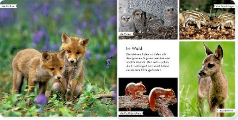 9783649641452 - Sample content