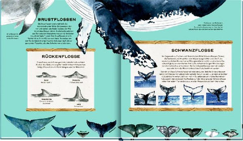 9783649644255 - Sample content