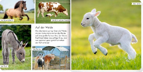 9783649644873 - Sample content