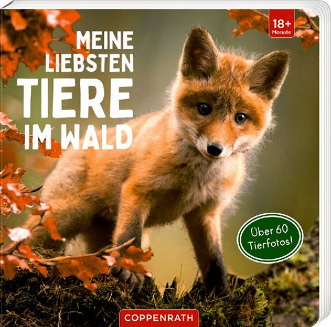 9783649645481 - Front cover