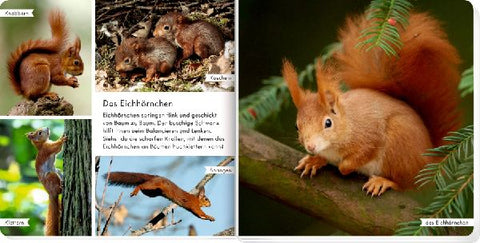 9783649645481 - Sample content