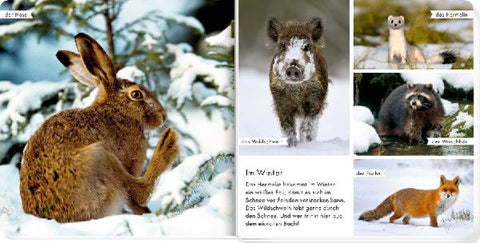 9783649645481 - Sample content