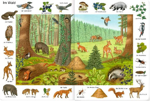 9783649646464 - Sample content