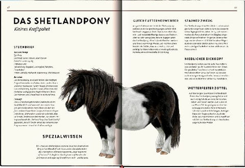 9783649646495 - Sample content