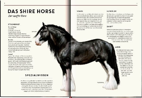 9783649646495 - Sample content