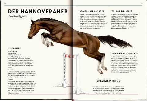 9783649646495 - Sample content