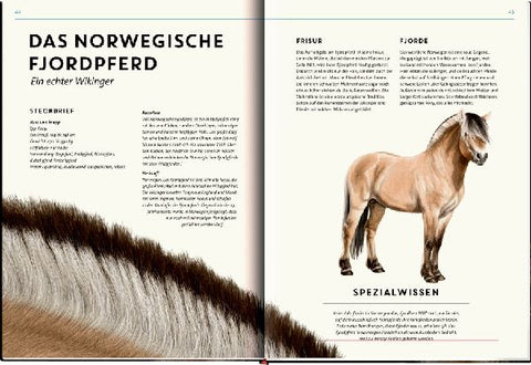 9783649646495 - Sample content