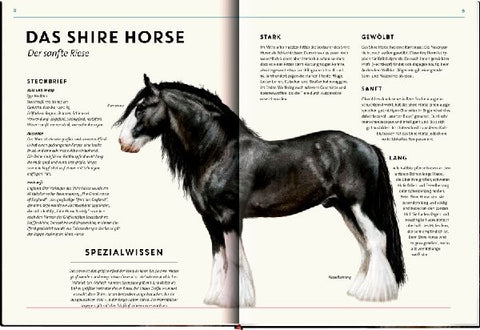 9783649646495 - Sample content