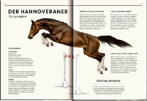 9783649646495 - Sample content