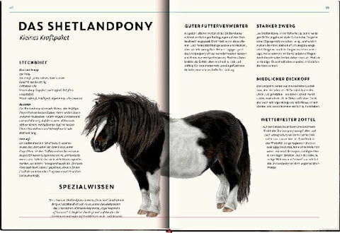 9783649646495 - Sample content