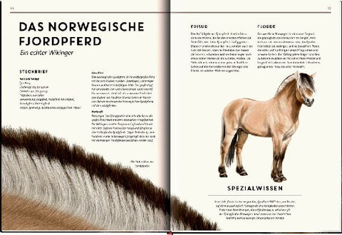 9783649646495 - Sample content