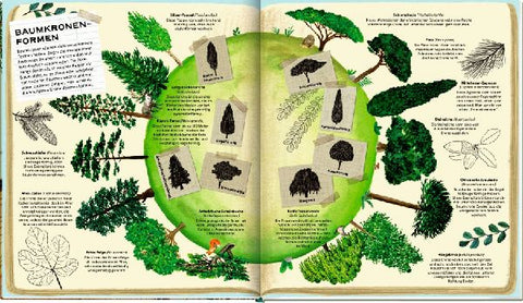 9783649647270 - Sample content