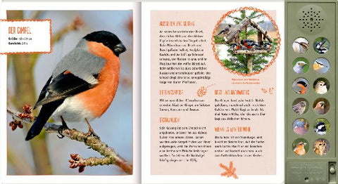 9783649647294 - Sample content