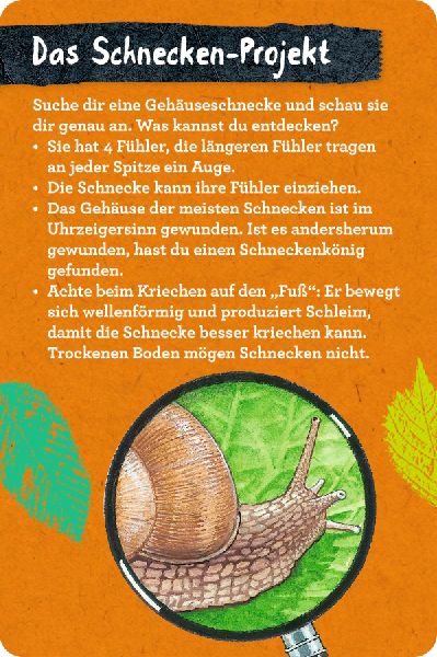 9783649647300 - Sample content