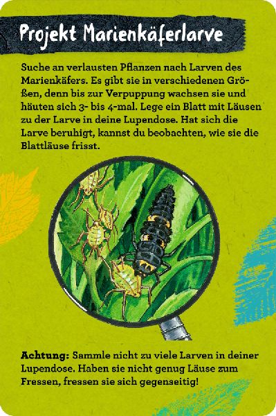 9783649647300 - Sample content