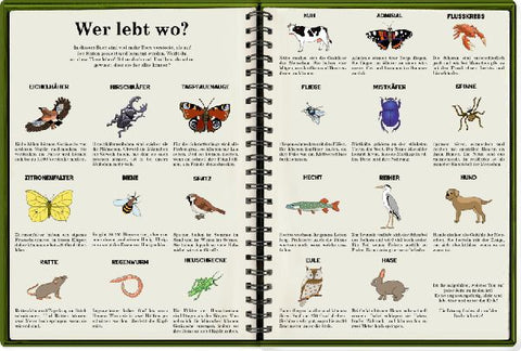 9783649647386 - Sample content