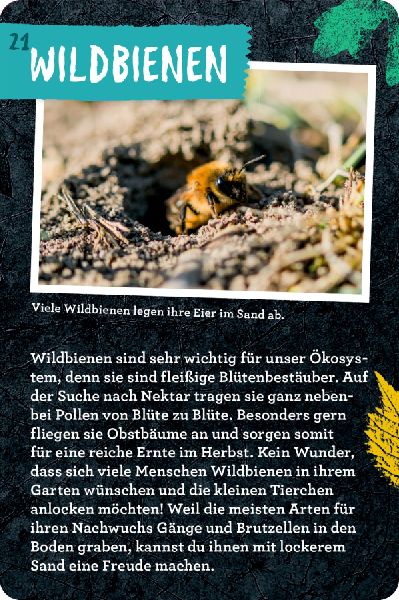 9783649647935 - Sample content