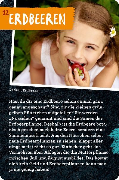 9783649647935 - Sample content