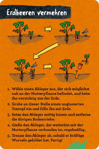 9783649647935 - Sample content