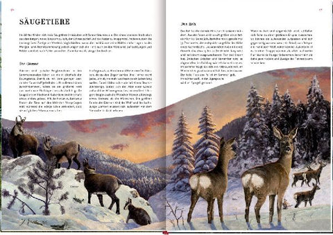 9783649647973 - Sample content