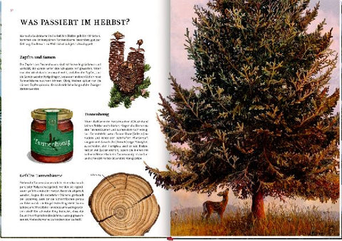 9783649647973 - Sample content