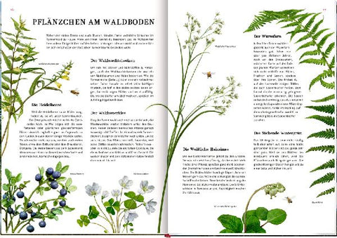 9783649647973 - Sample content