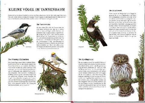 9783649647973 - Sample content