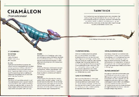 9783649647997 - Sample content