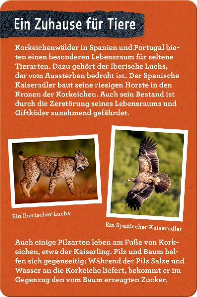 9783649648086 - Sample content