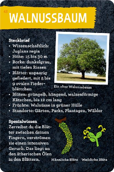 9783649648086 - Sample content