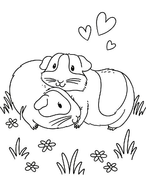 9783649649298 - Sample content