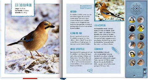 9783649650683 - Sample content