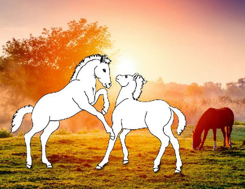 9783649671947 - Sample content